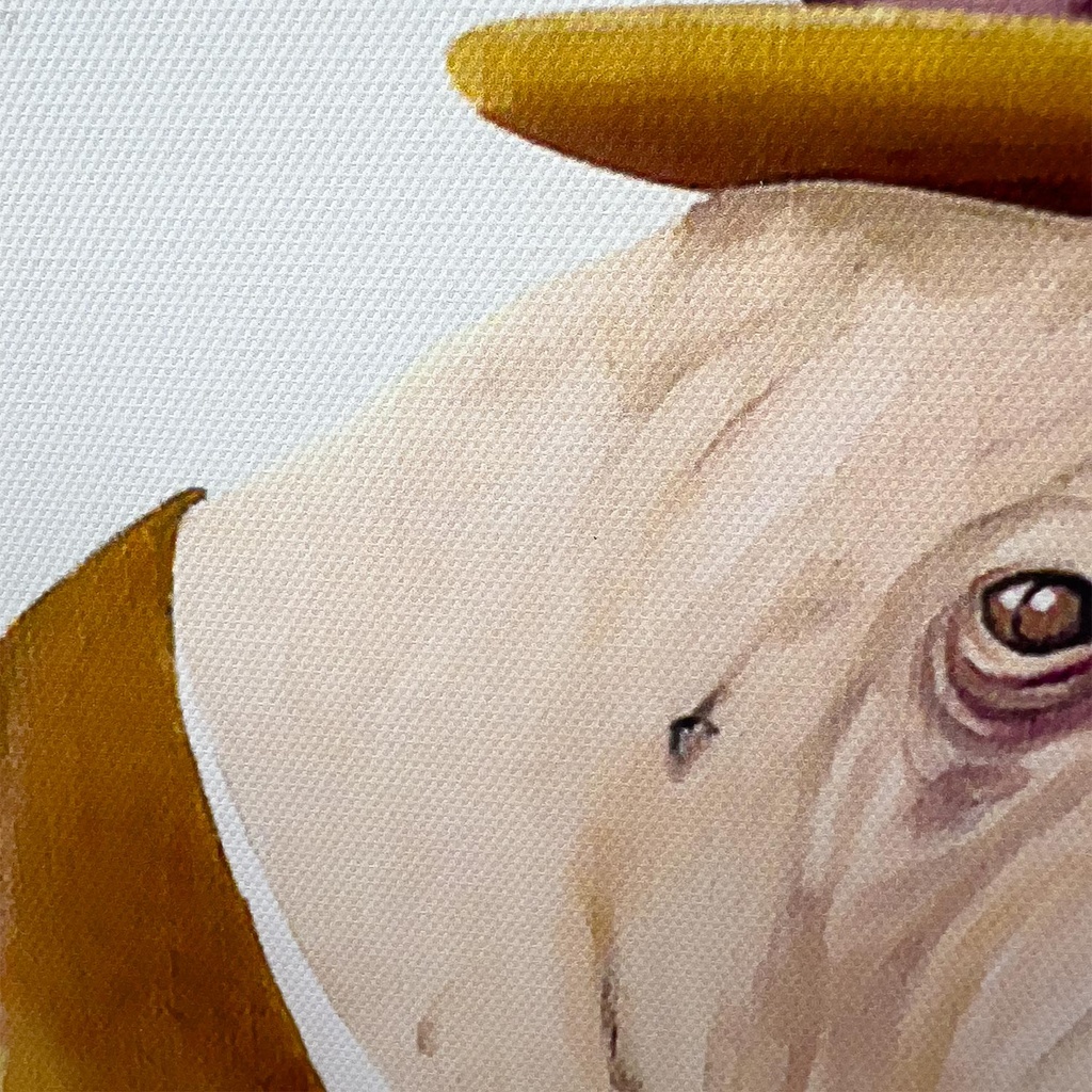 Canvas morsa pipa 30x40cm