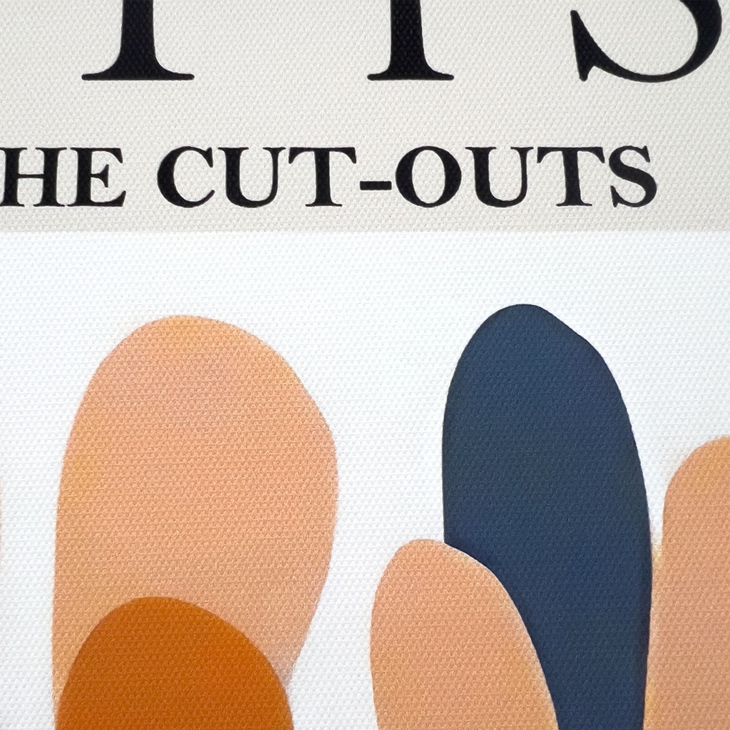 Canvas Matisse 1 40x60cm