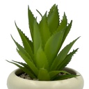 Suculenta base Michelin 18cm