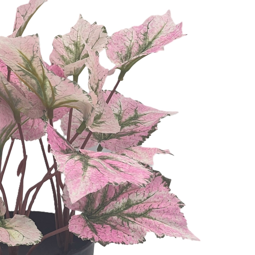 Planta artificial Singonio rosa 30cm
