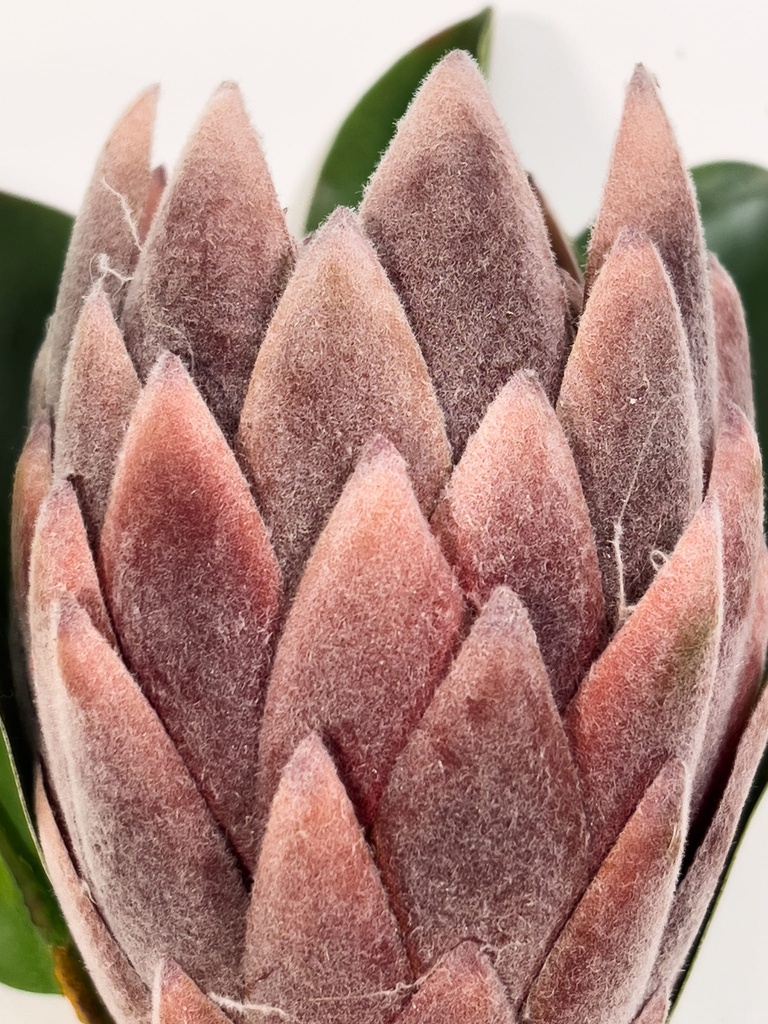 Protea artificial M morada