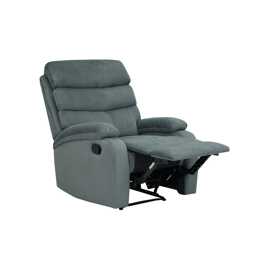 Berger Logan gris oscuro