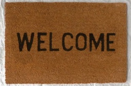 [230008923] Limpiapies 40x60cm welcome5