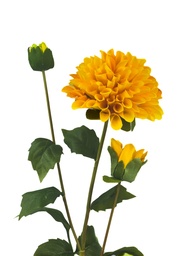 [230035548] Dalia artificial amarilla