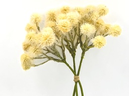 [230035562] Ramo pompones artificial Beige 31cm